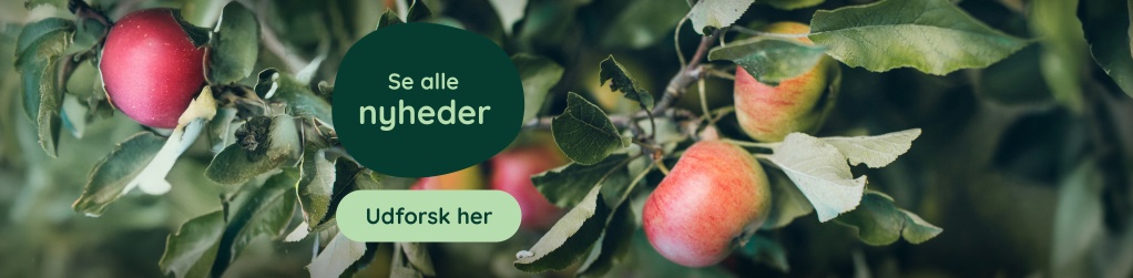 Nyheder